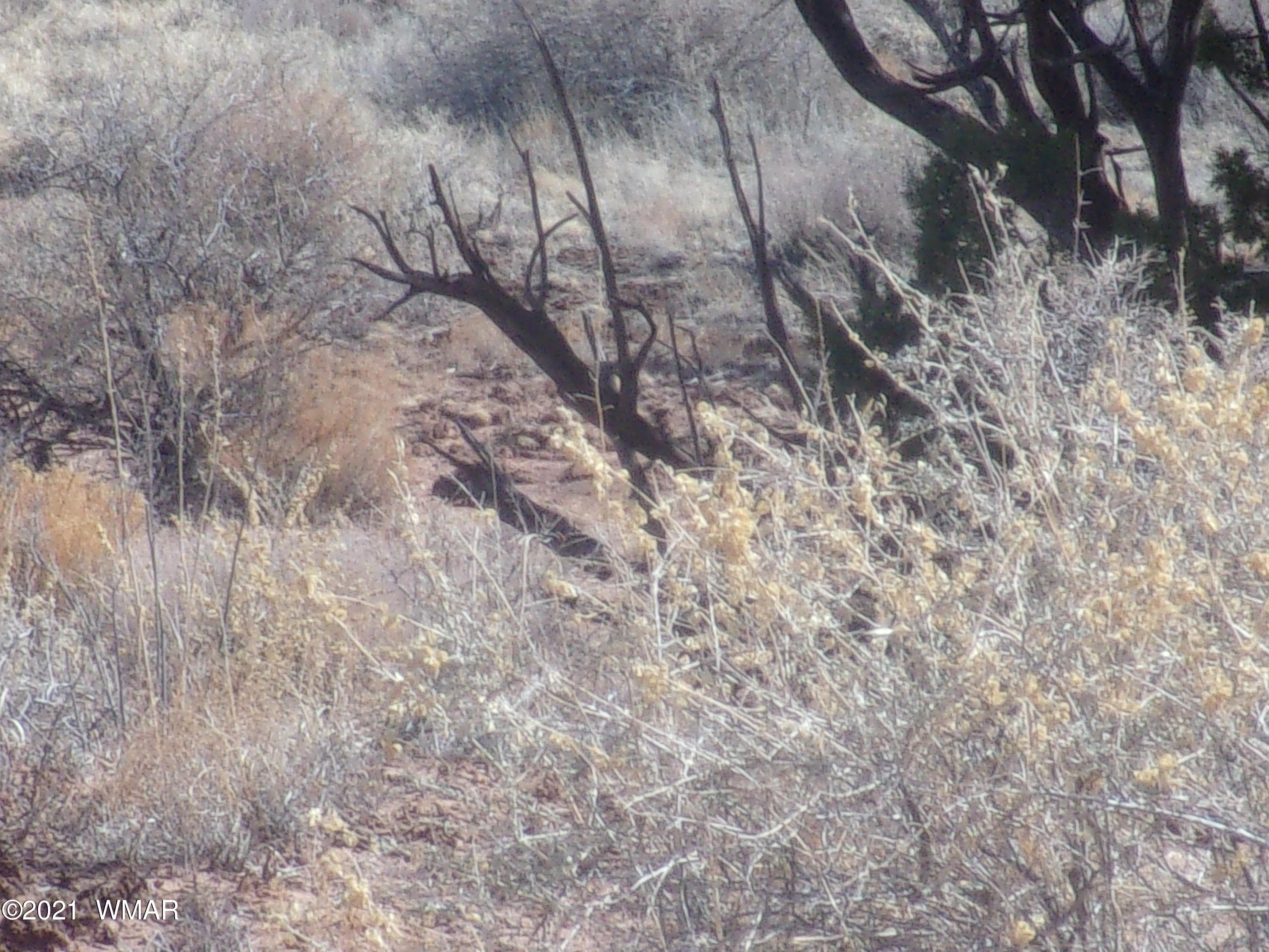 Tbd Hillside Drive Snowflake, AZ 85937 - Photo 6 of 6