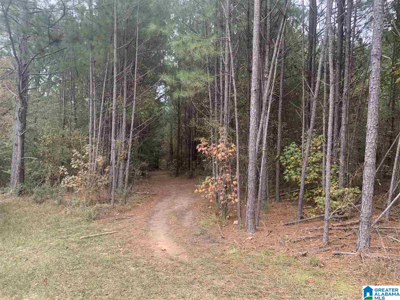 0 Homestead Drive, Unit 1 Springville, AL 35146 - Photo 32 of 32