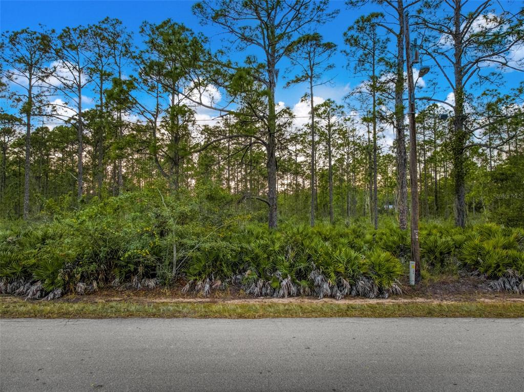 5817 Wolf Lake Road Sebring, FL 33875 - Photo 12 of 20 a view of a yard with a tree