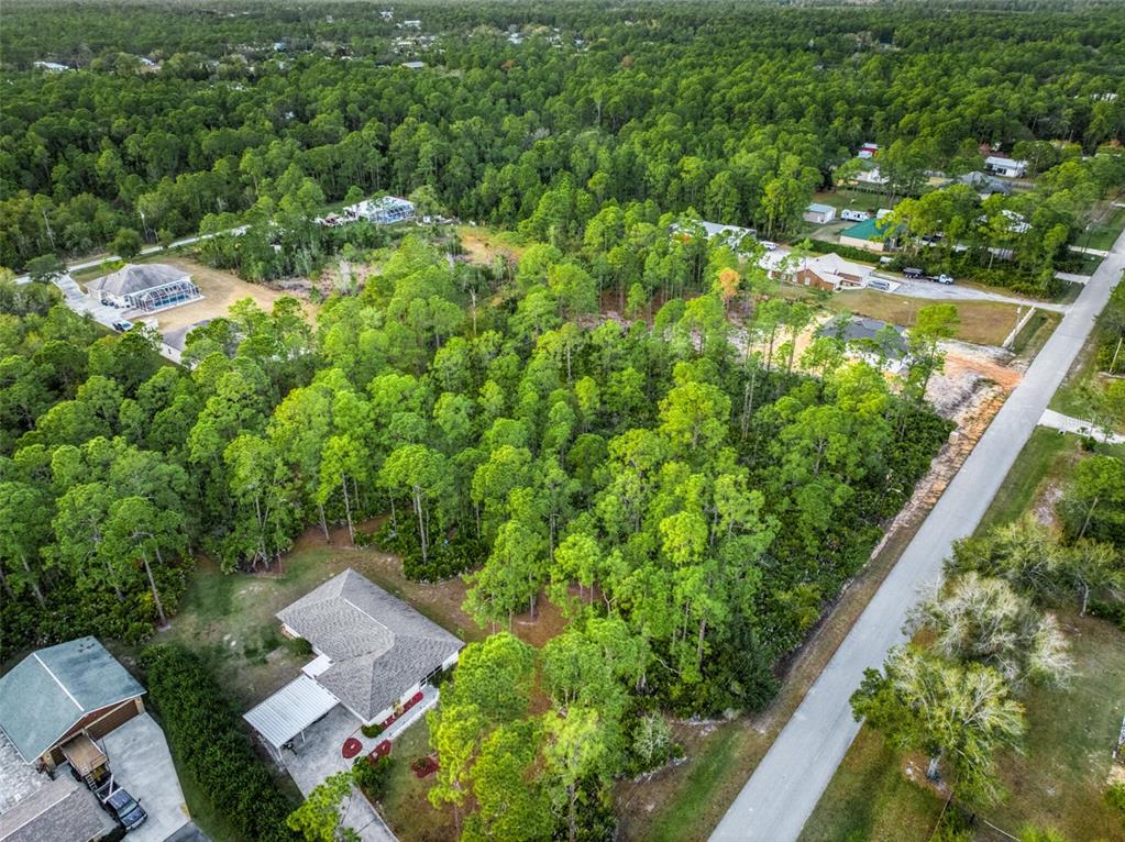 5817 Wolf Lake Road Sebring, FL 33875 - Photo 17 of 20 an aerial view of residential house with outdoor space and trees all around