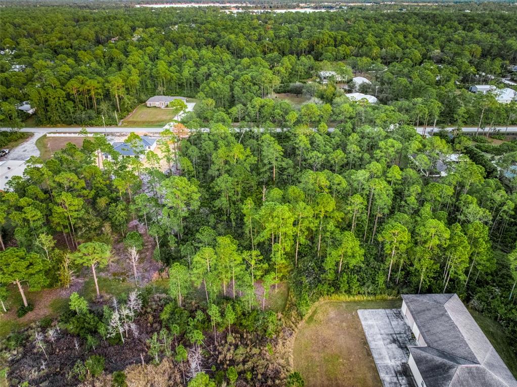 5817 Wolf Lake Road Sebring, FL 33875 - Photo 19 of 20 a view of a yard with plants
