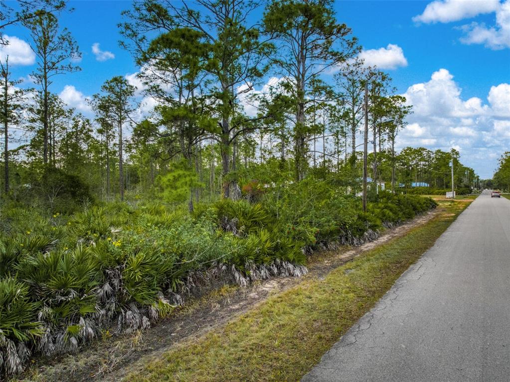5817 Wolf Lake Road Sebring, FL 33875 - Photo 20 of 20 a view of a garden