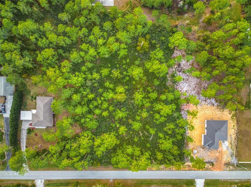 5817 Wolf Lake Road Sebring, FL 33875 - Photo 3 of 20