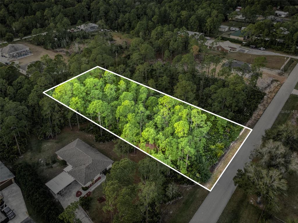 5817 Wolf Lake Road Sebring, FL 33875 - Photo 4 of 20