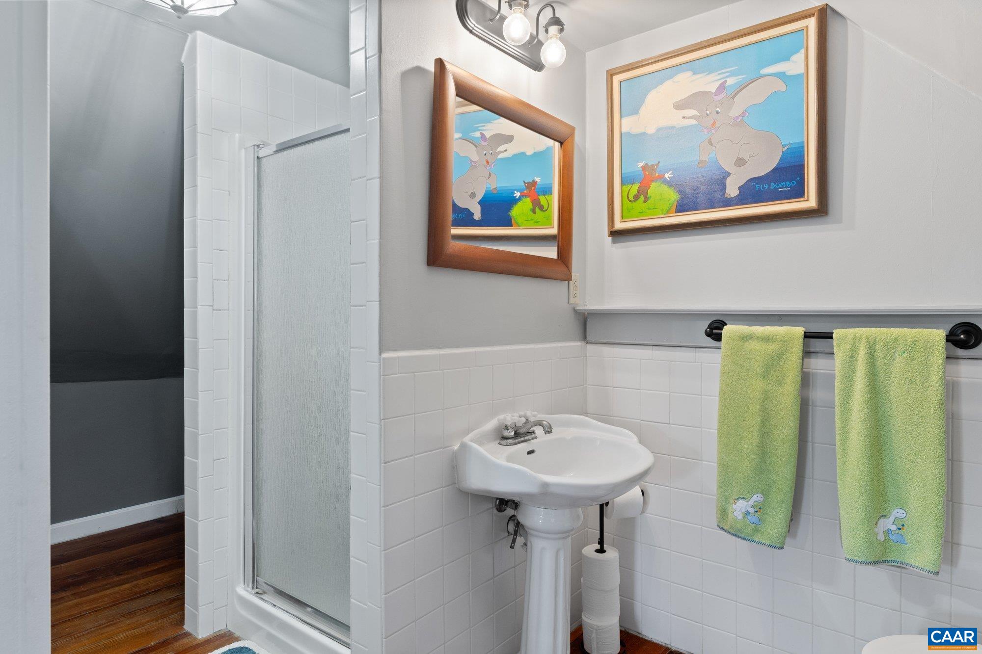 14910 Western Mill Road Lawrenceville, VA 23868 - Photo 52 of 73 a bathroom with a sink and a mirror