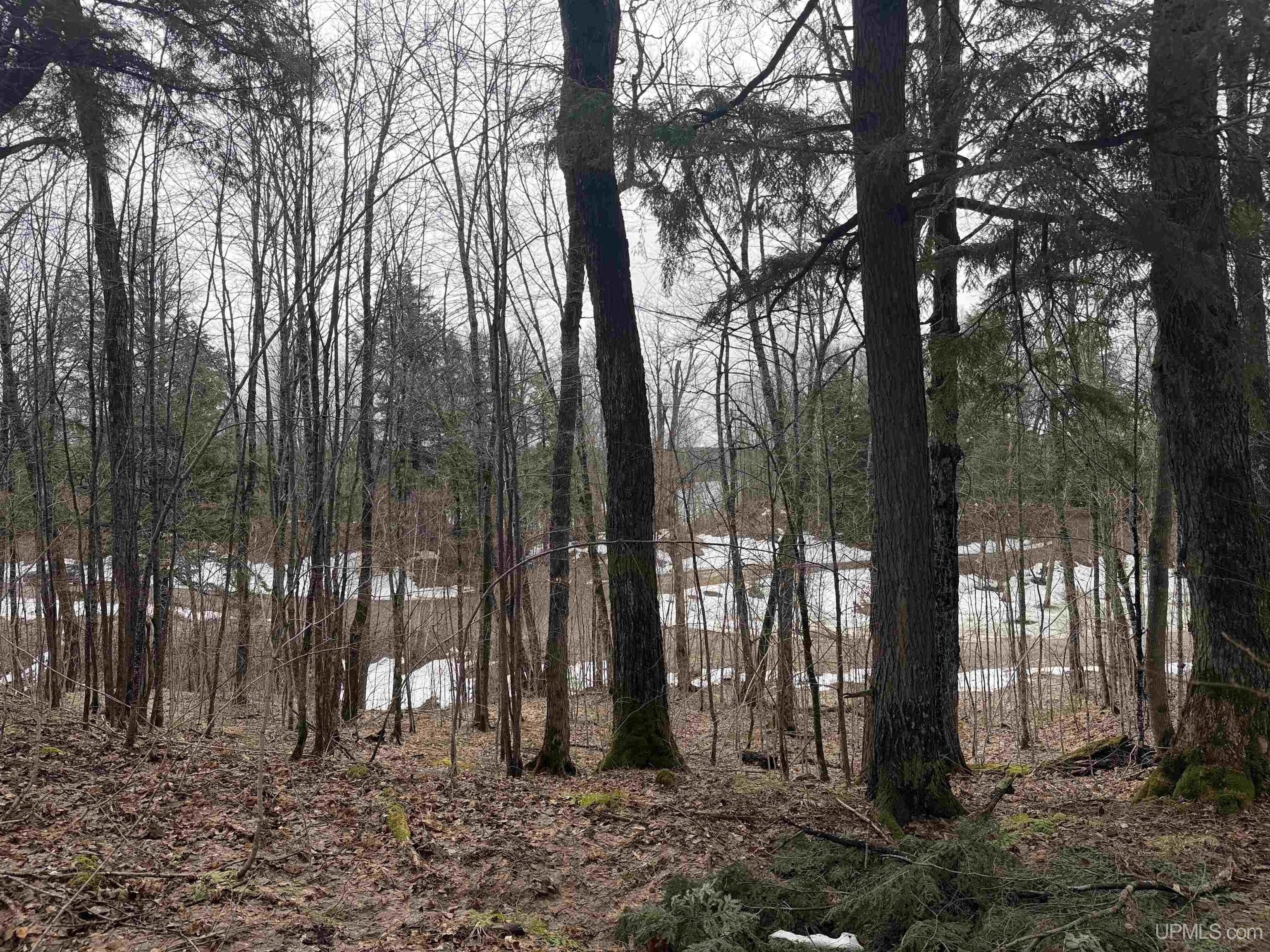 18 Chaney Lake Road Wakefield, MI 49968 - Photo 16 of 37