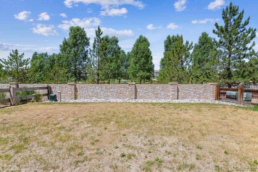 10603 Rutledge Street Parker, CO 80134 - Photo 19 of 19 Gallery Image 19