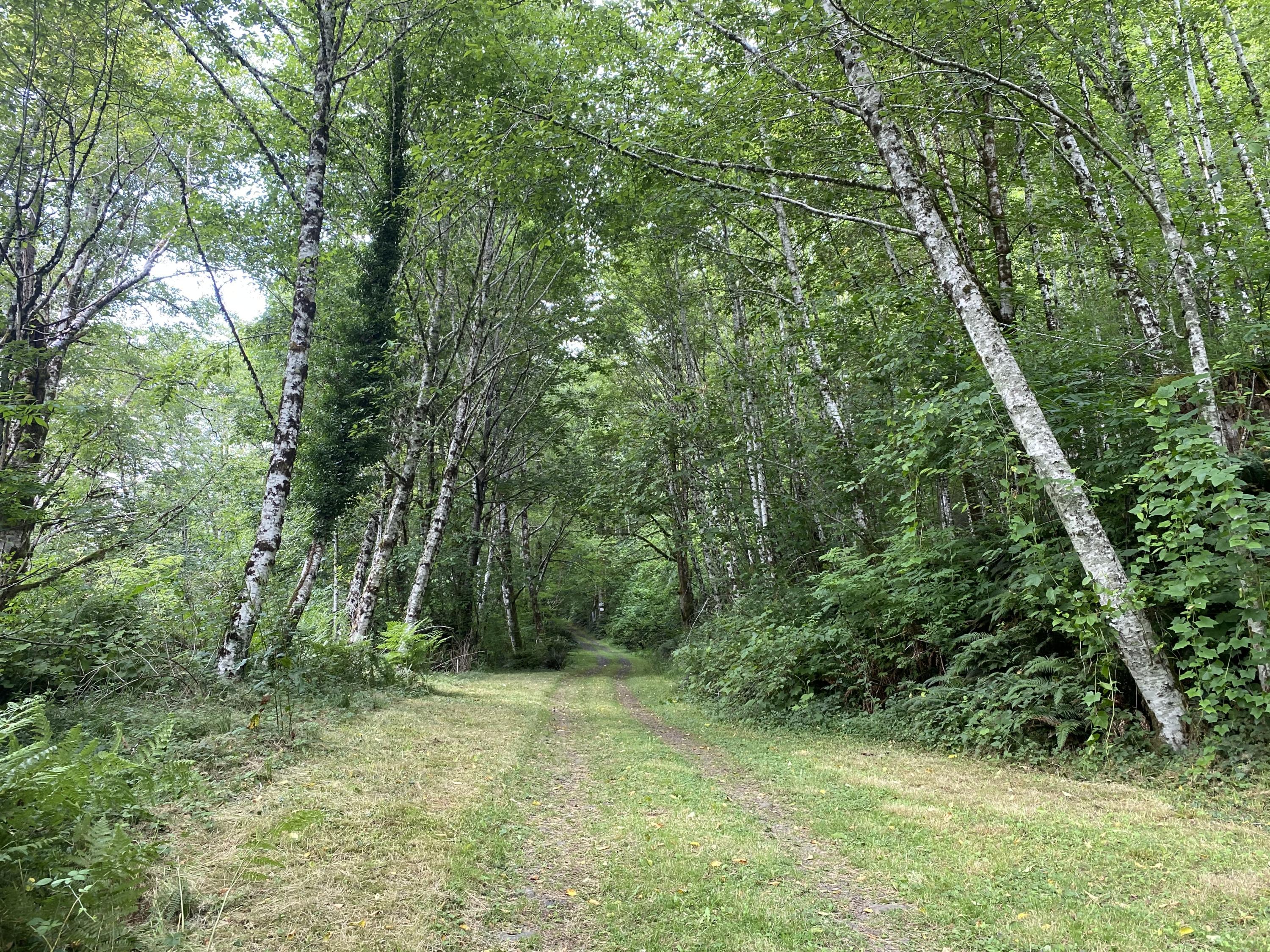 106 Trask River Road Tillamook, OR 97141 - Photo 1 of 11 IMG-1777