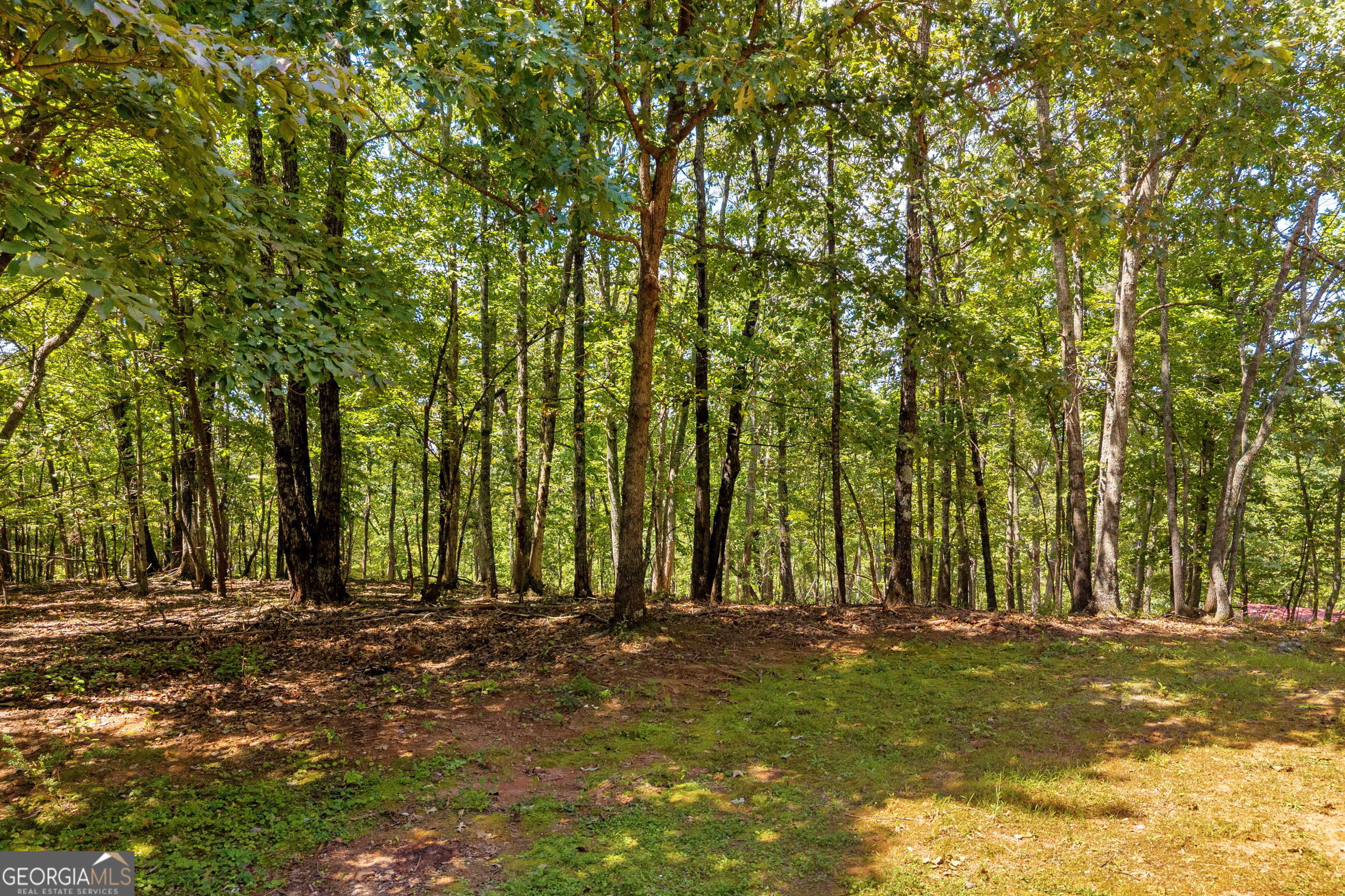 807 Satterfield Road Cleveland, GA 30528 - Photo 73 of 99