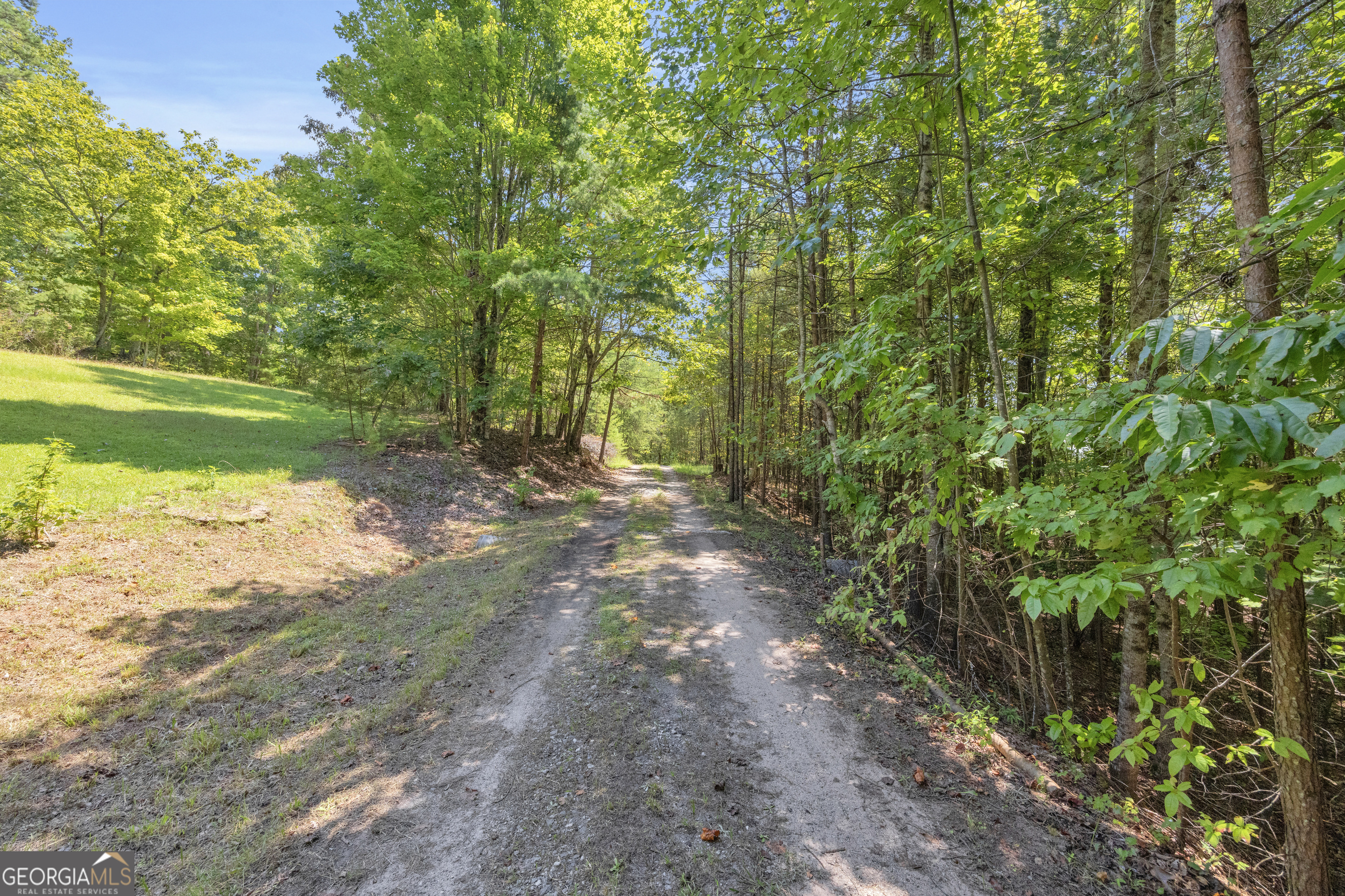 807 Satterfield Road Cleveland, GA 30528 - Photo 84 of 99