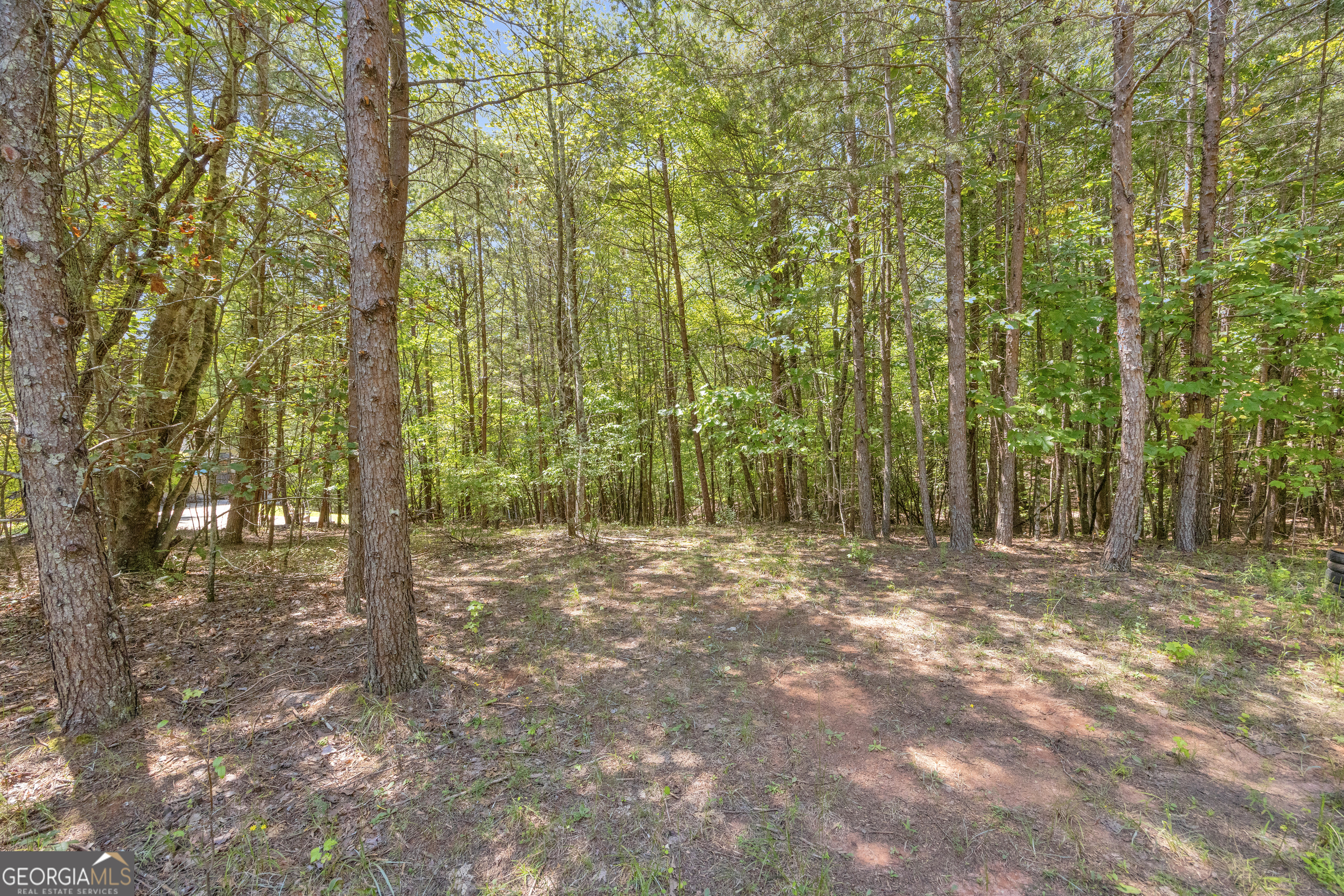 807 Satterfield Road Cleveland, GA 30528 - Photo 87 of 99