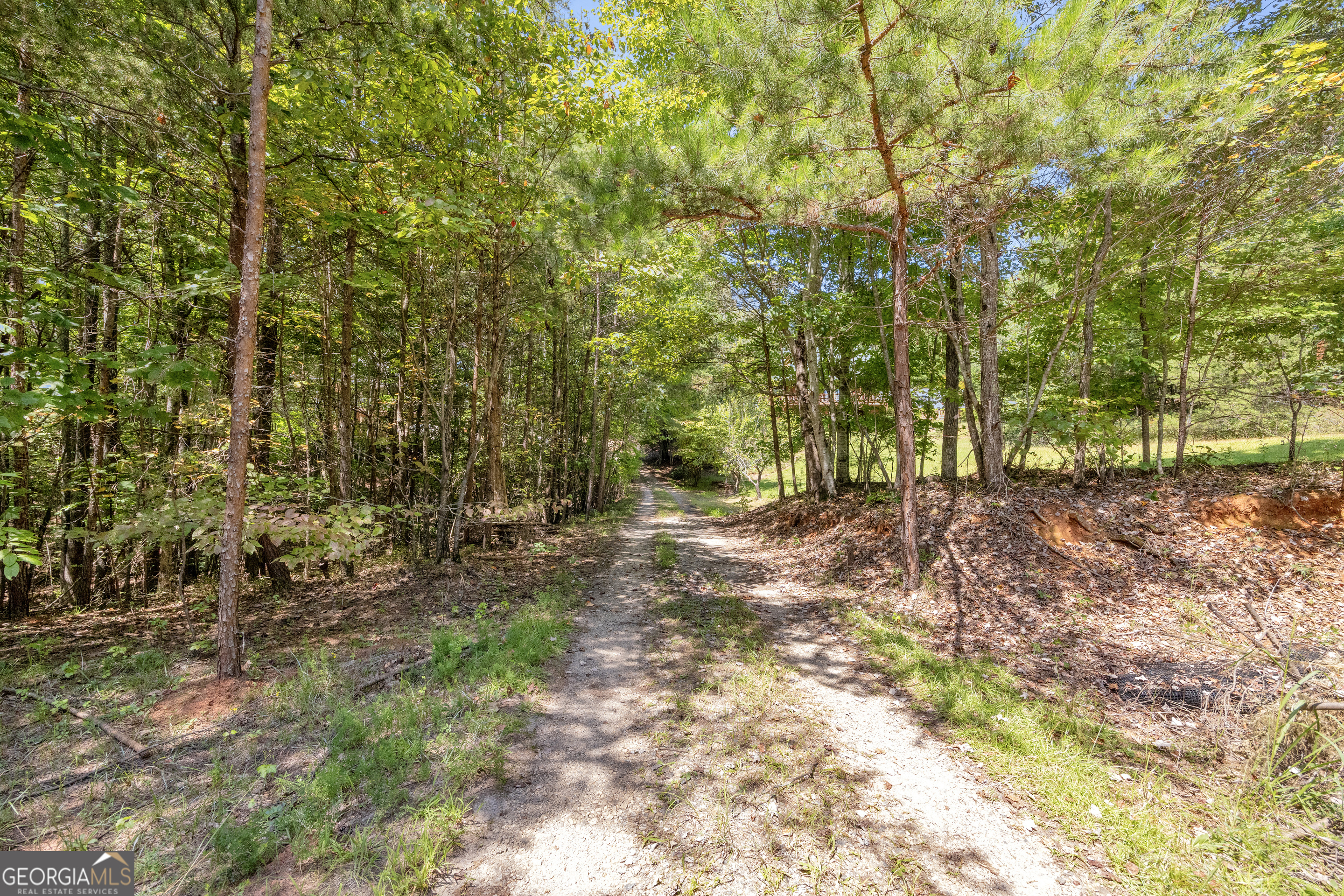 807 Satterfield Road Cleveland, GA 30528 - Photo 88 of 99 a view of outdoor space and trees