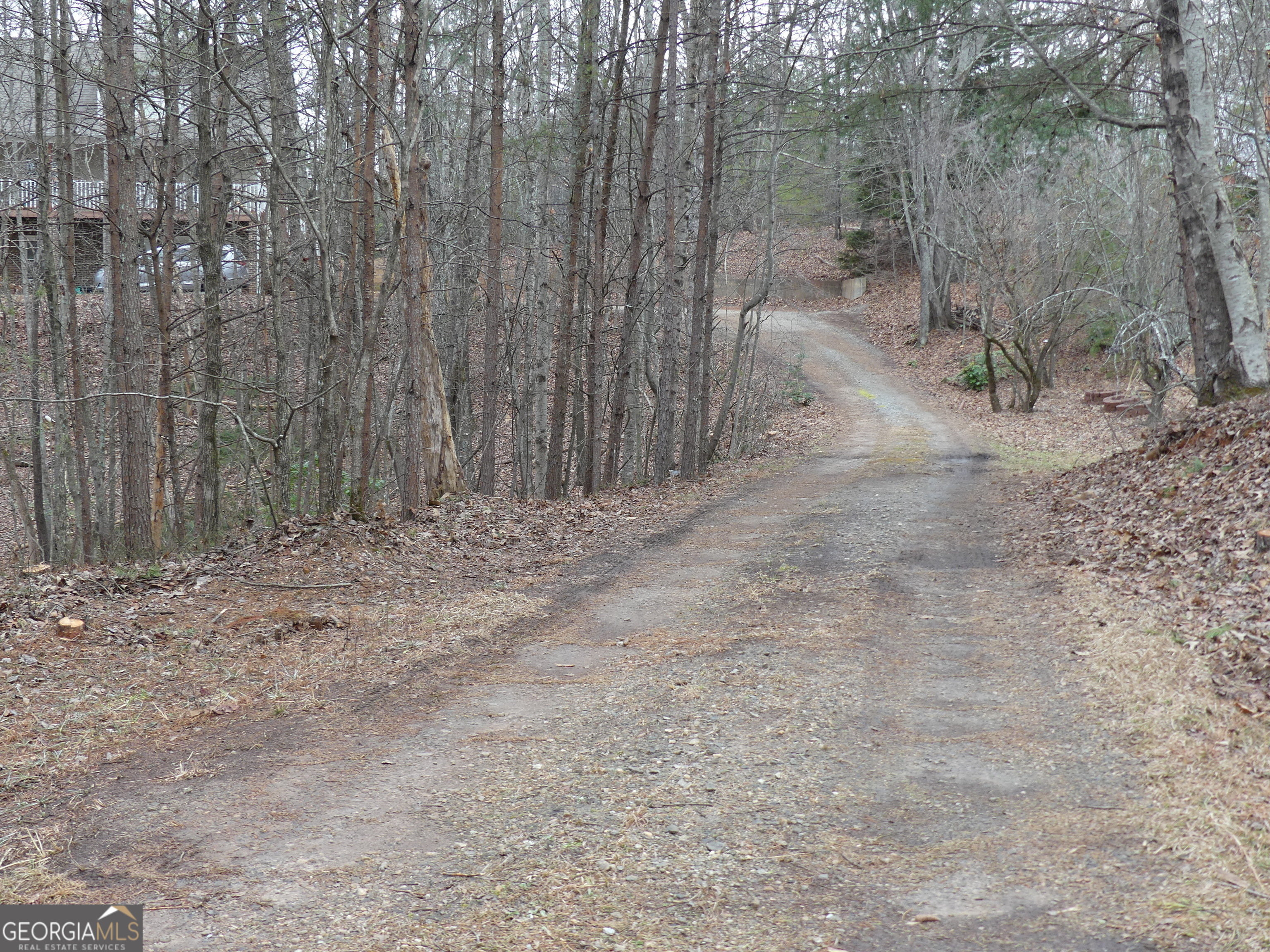 807 Satterfield Road Cleveland, GA 30528 - Photo 95 of 99 a view of a yard with trees in the background