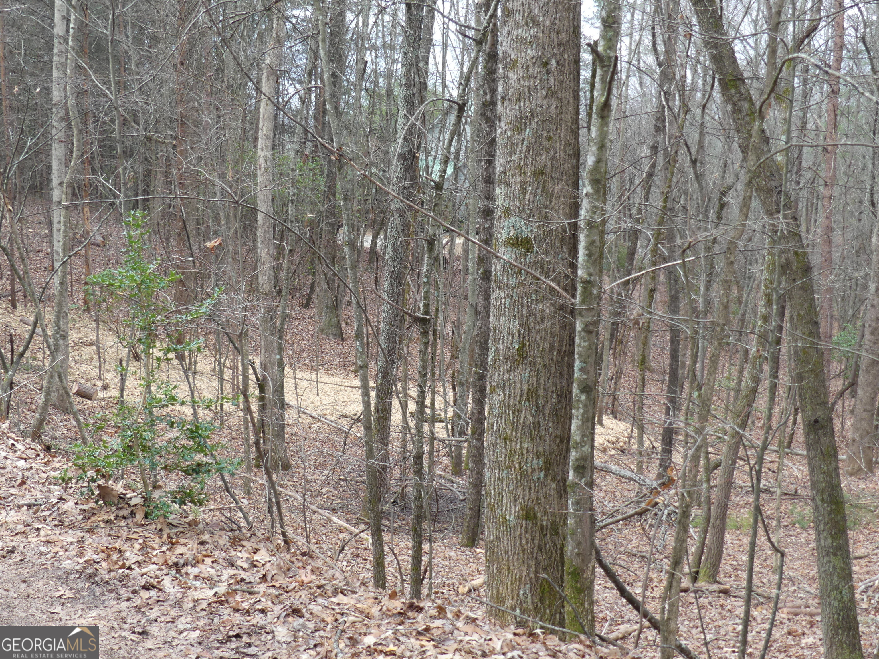 807 Satterfield Road Cleveland, GA 30528 - Photo 96 of 99