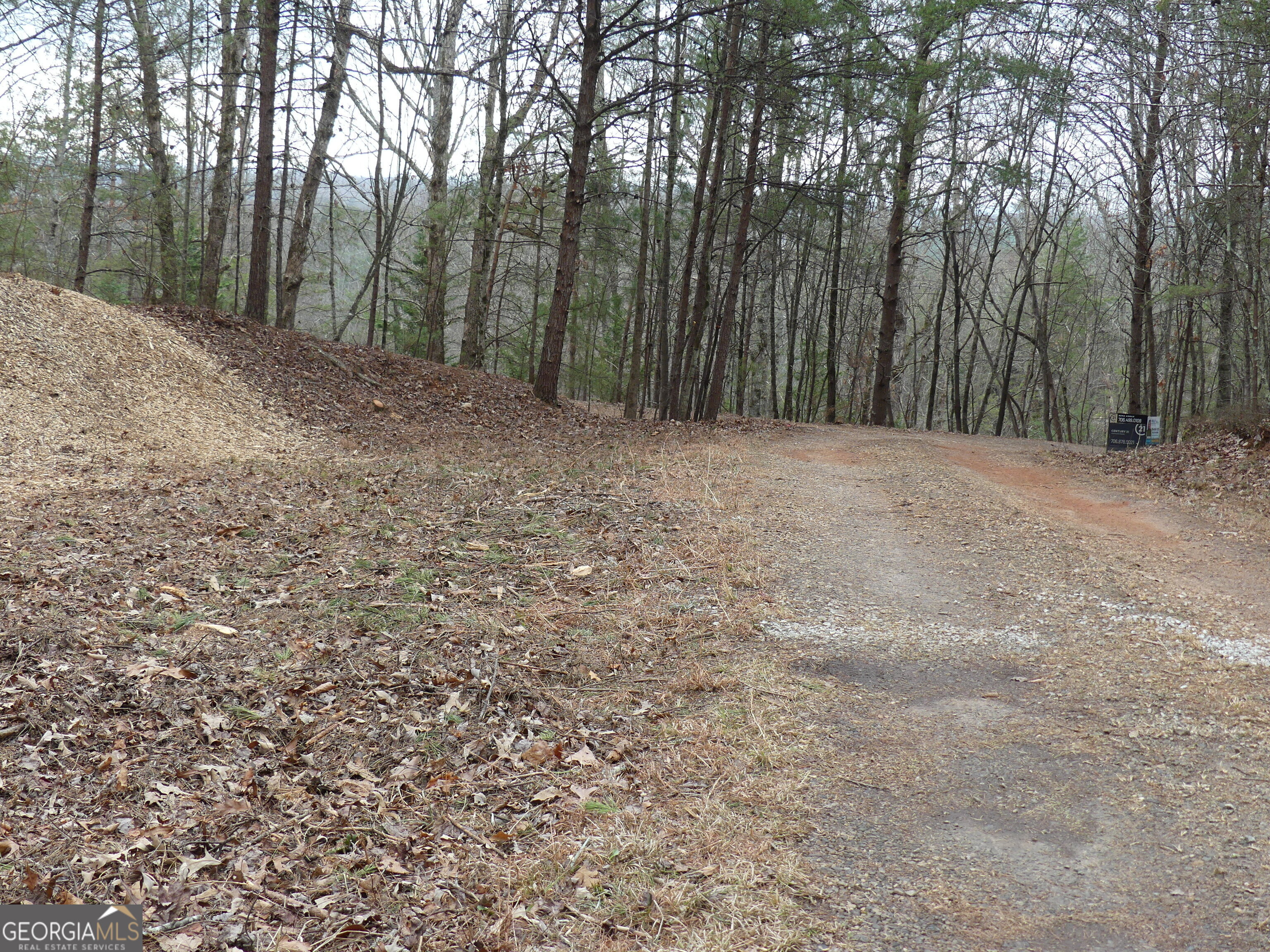 807 Satterfield Road Cleveland, GA 30528 - Photo 97 of 99 a view of a forest with trees in the background