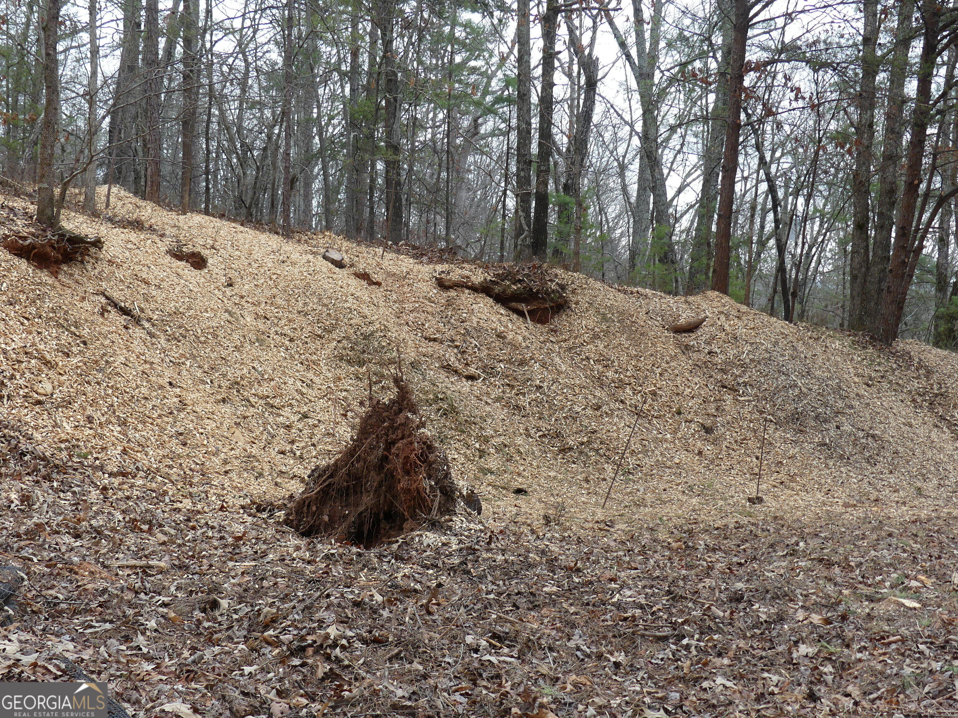 807 Satterfield Road Cleveland, GA 30528 - Photo 99 of 99 a view of a yard covered in snow