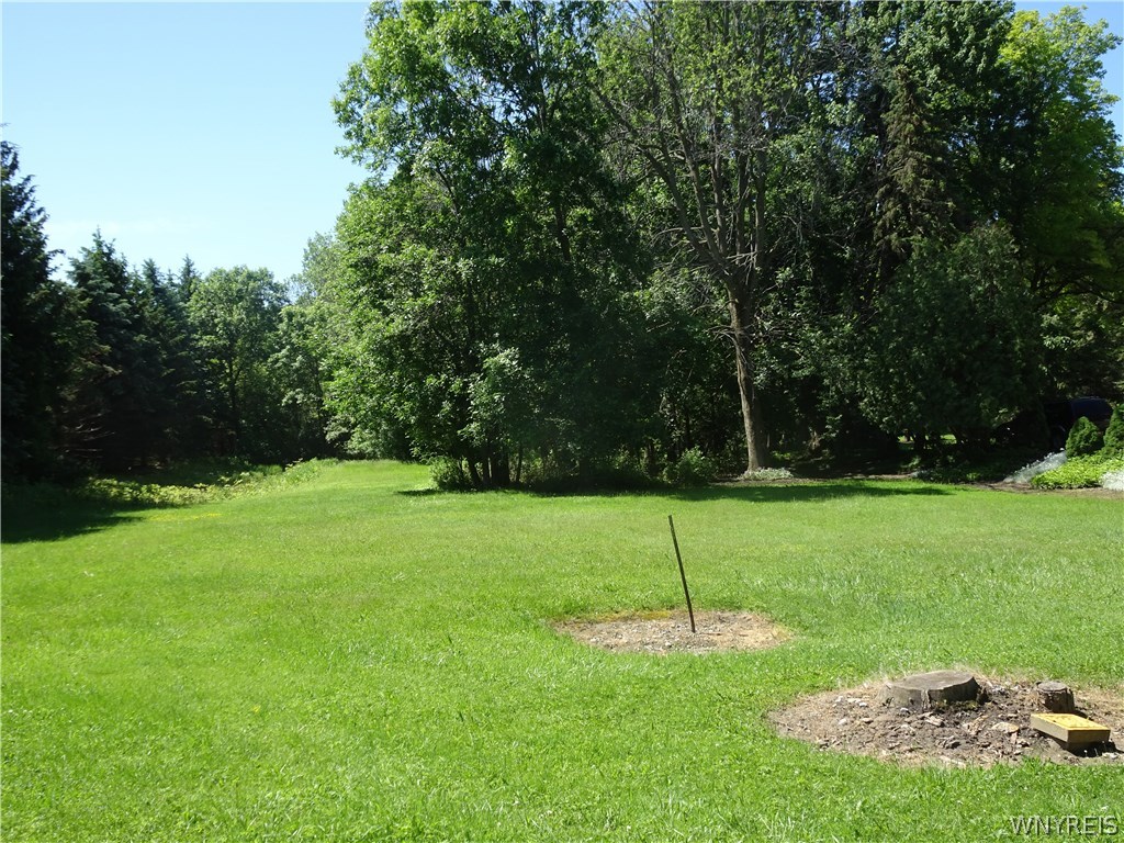 337 North French Road Amherst, NY 14228 - Photo 1 of 1 Gallery Image 1