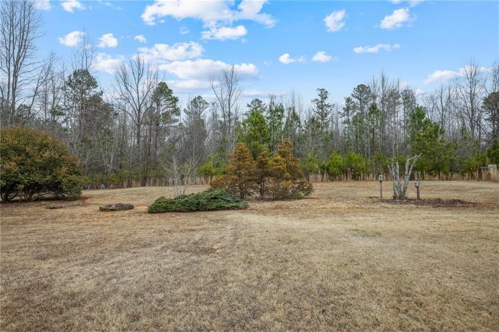 342 Miller Path Temple, GA 30179 - Photo 35 of 47 a view of a field with trees in the background