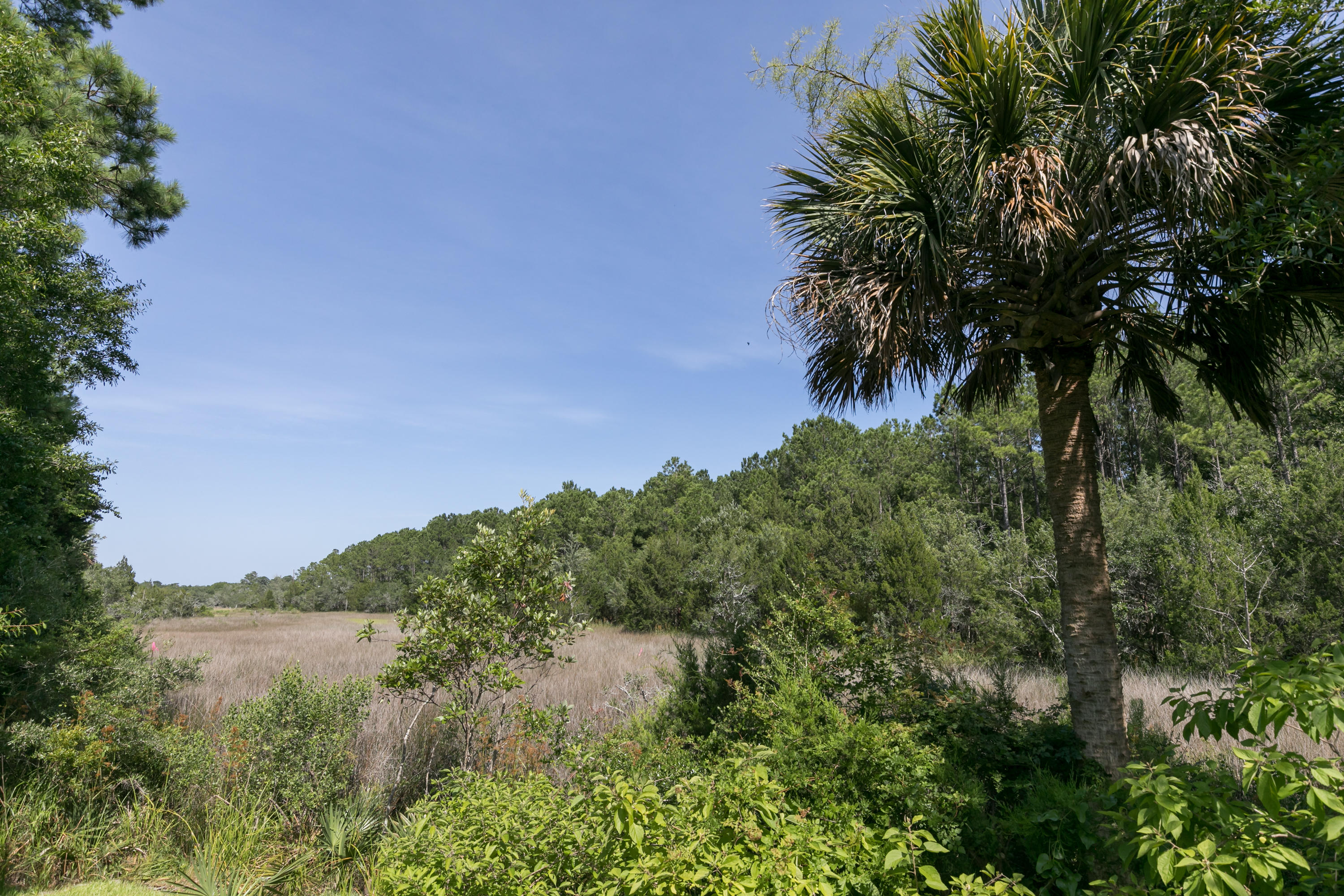 10011 South Carolina Road McClellanville, SC 29458 - Photo 28 of 45 40--FULL