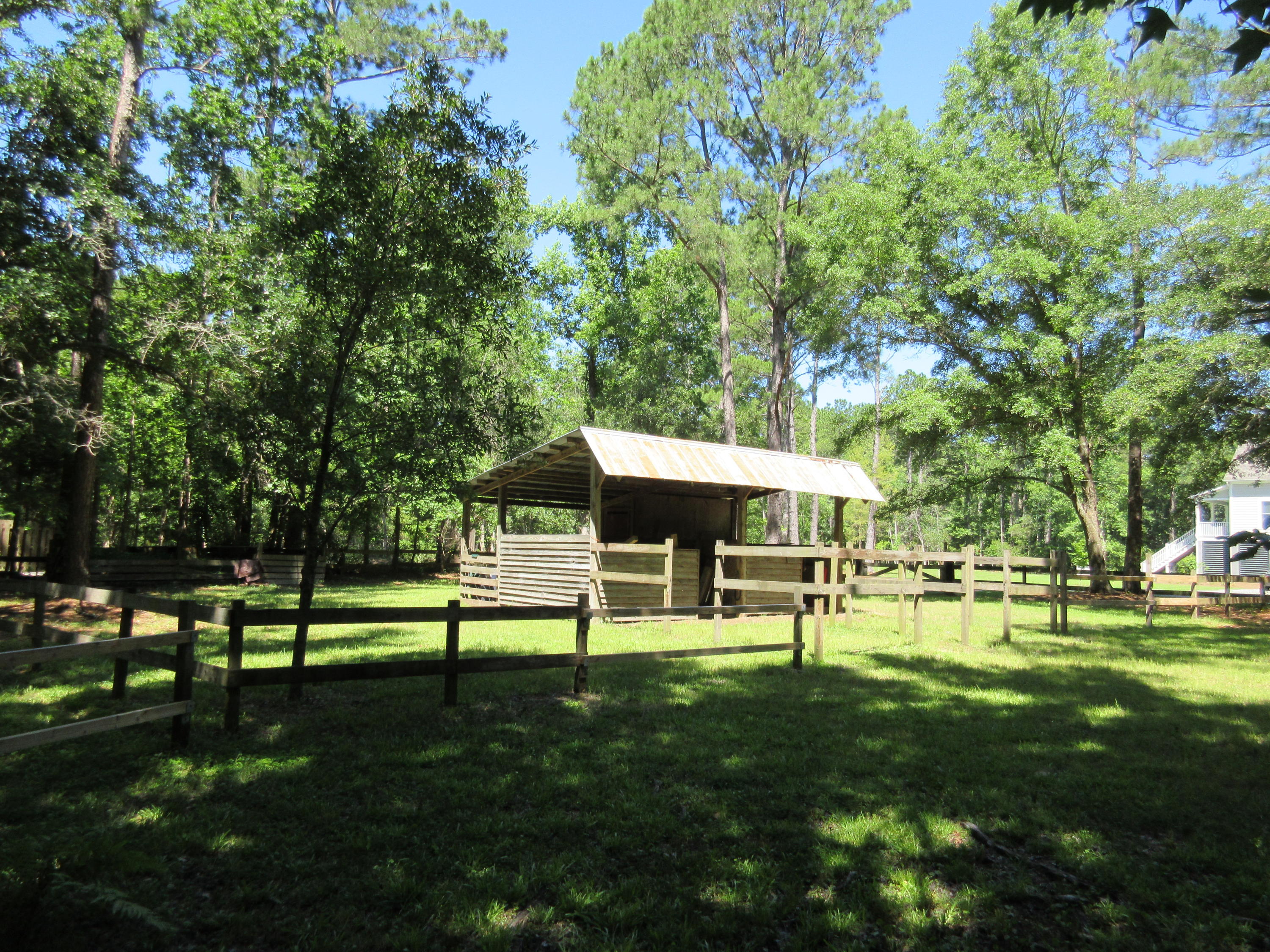 10011 South Carolina Road McClellanville, SC 29458 - Photo 33 of 45 IMG_1044