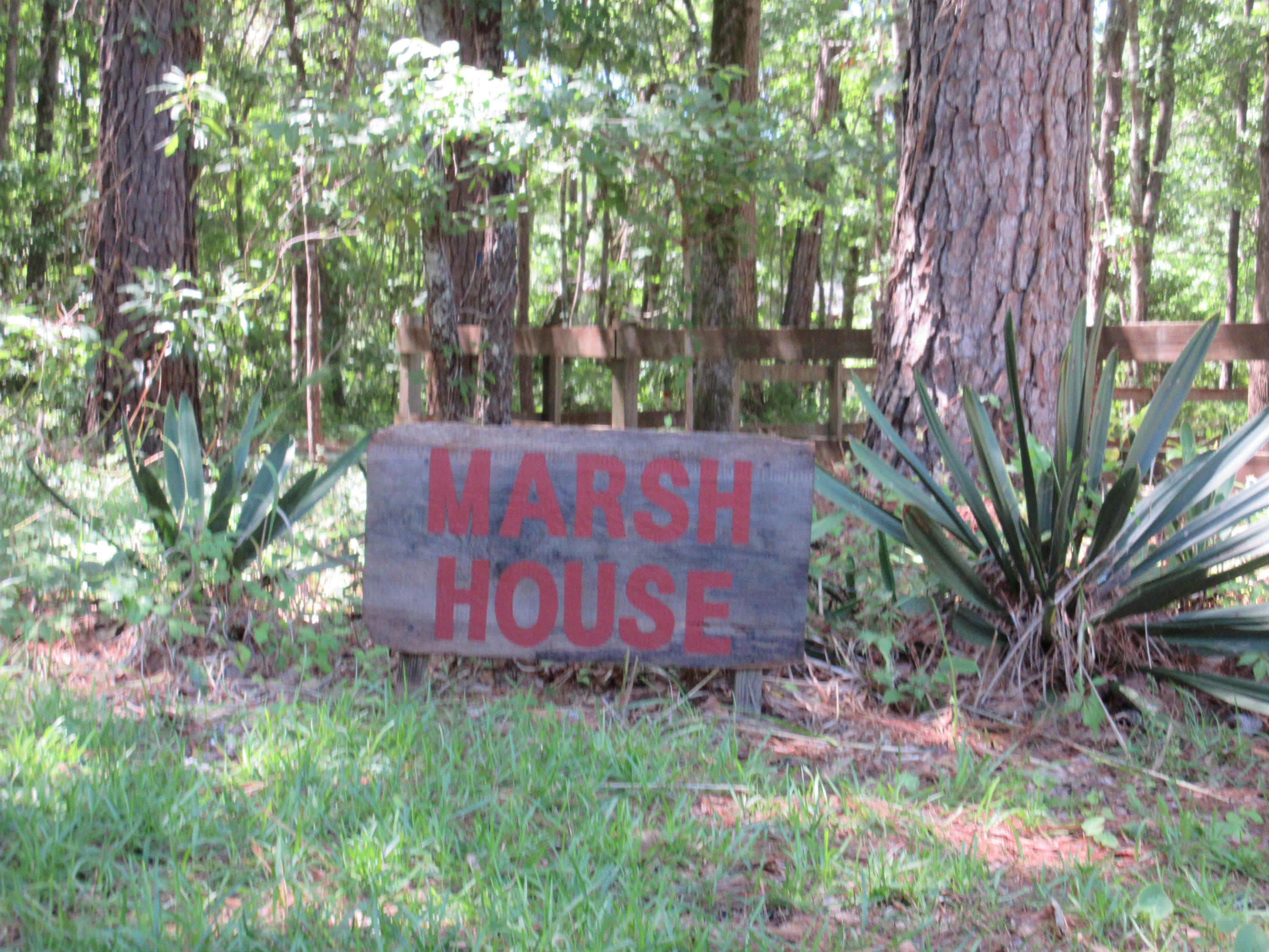 10011 South Carolina Road McClellanville, SC 29458 - Photo 43 of 45 IMG_1057