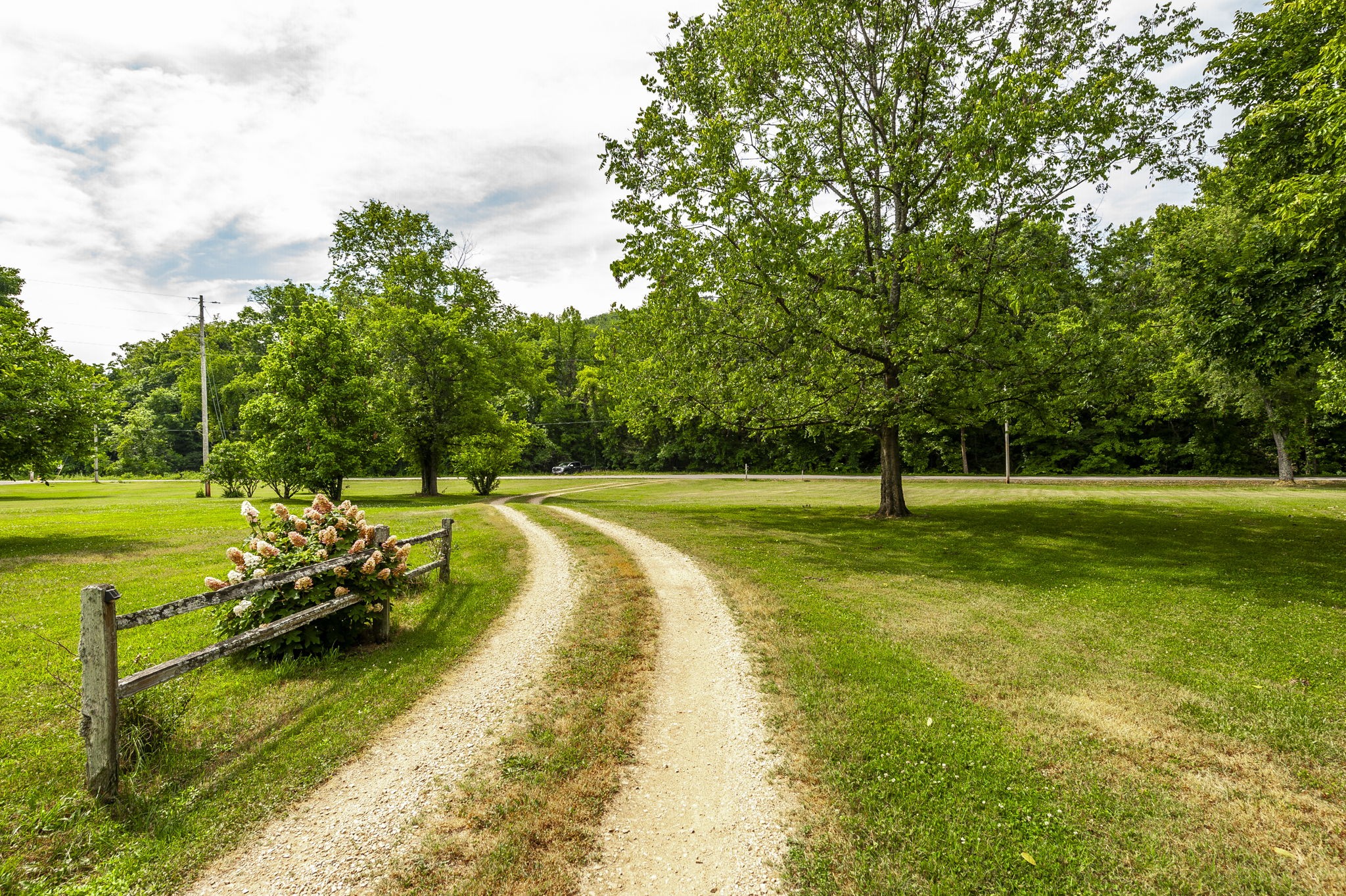 365 Mutton Hollow Hill Road Bethpage, TN 37022 - Photo 6 of 32 Gallery Image 6