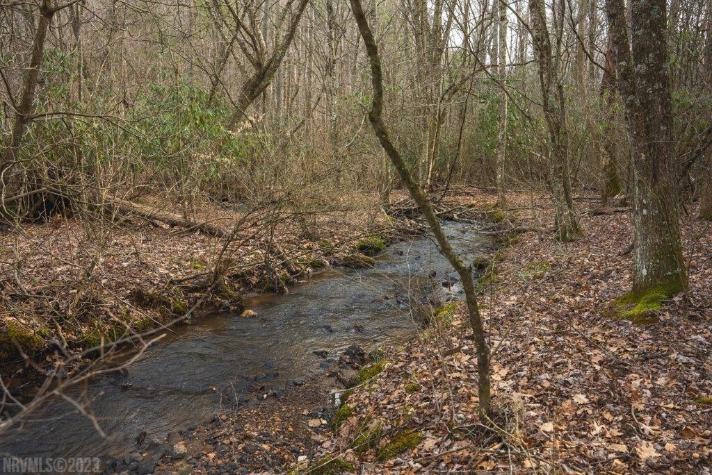 3 Long Mountain Road Southwest Willis, VA 24380 - Photo 62 of 66 Gallery Image 62