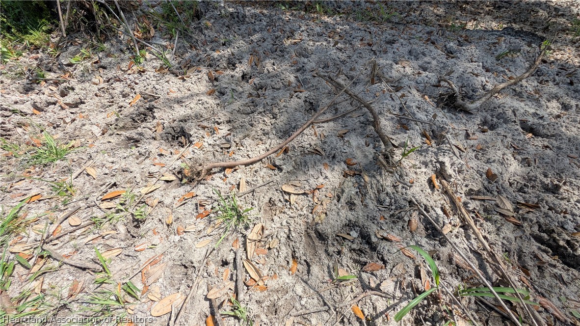 Deer Trail