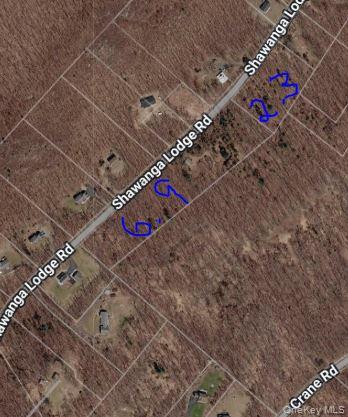 Shawanga Lodge Road Wurtsboro, NY 12721 - Photo 2 of 2