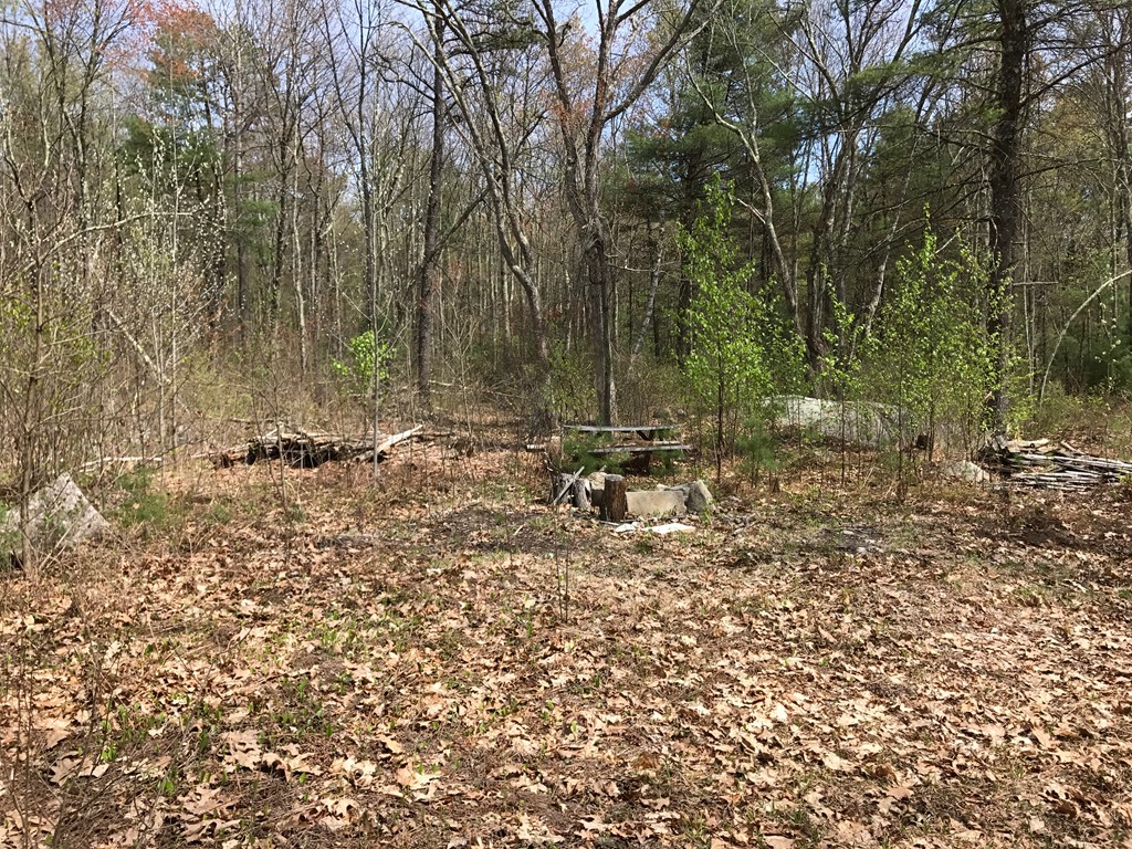 Lot 1 Old Poor Farm Road Ware, MA 01082 - Photo 5 of 13 Gallery Image 5