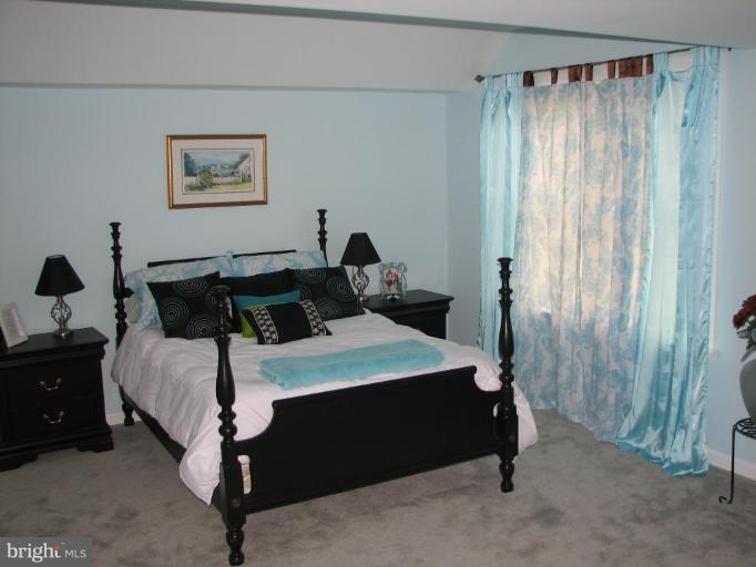 2691 Monocacy Ford Road Frederick, MD 21701 - Photo 14 of 30 Large BR on lower level