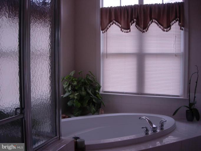 2691 Monocacy Ford Road Frederick, MD 21701 - Photo 26 of 30 Master Bath #2