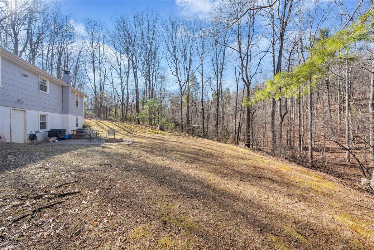 1173 Sawmill Road Ferrum, VA 24088 - Photo 23 of 39 a backyard of a house