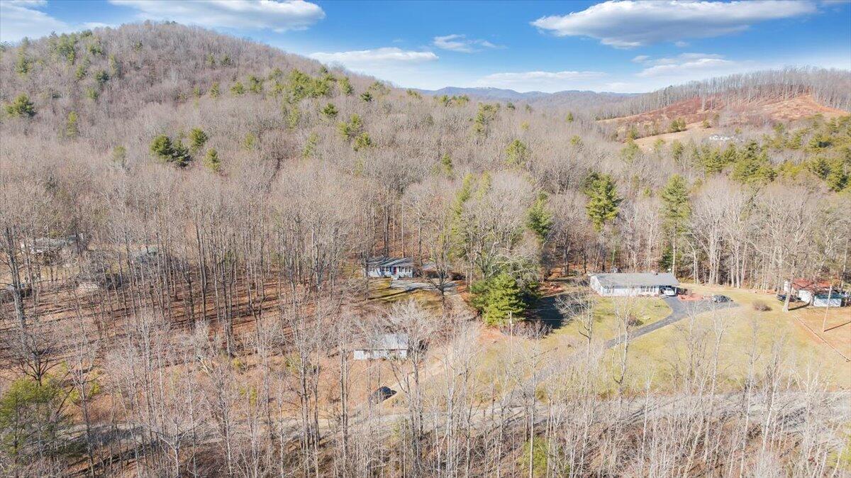 1173 Sawmill Road Ferrum, VA 24088 - Photo 29 of 39 a view of a yard with trees