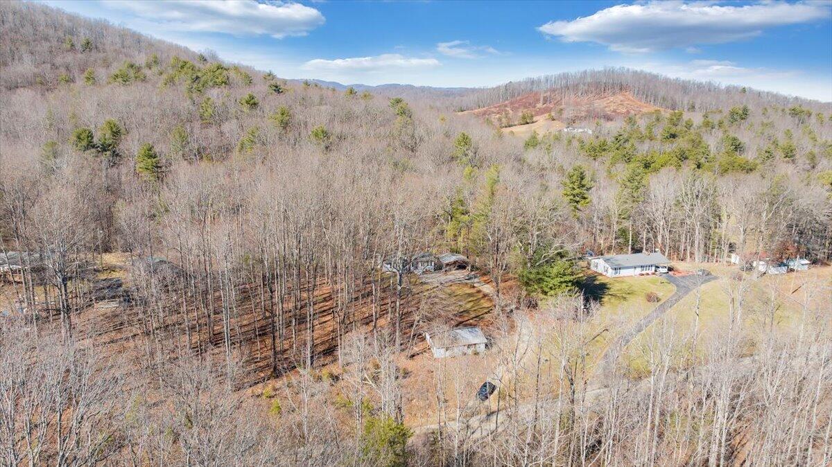1173 Sawmill Road Ferrum, VA 24088 - Photo 31 of 39 a view of a city