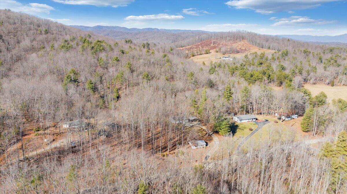 1173 Sawmill Road Ferrum, VA 24088 - Photo 33 of 39 a view of a city with lush green forest