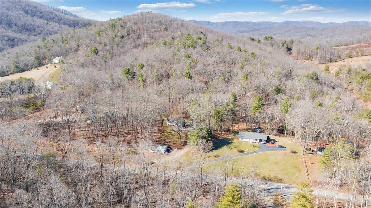 1173 Sawmill Road Ferrum, VA 24088 - Photo 35 of 39