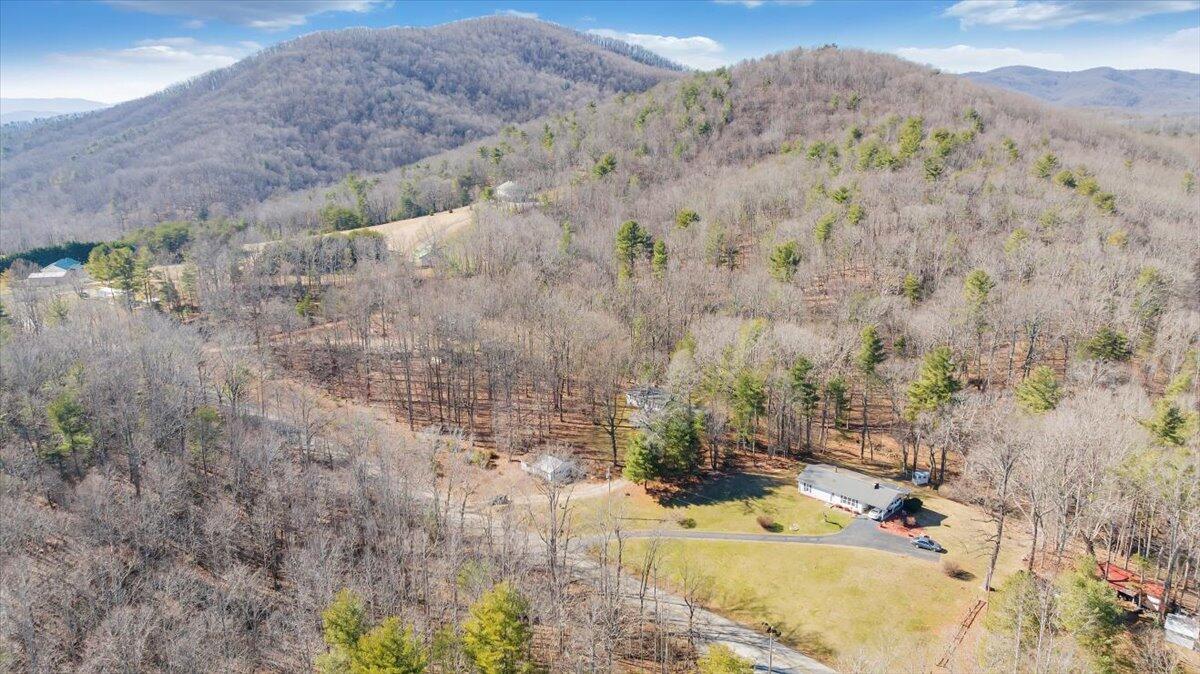 1173 Sawmill Road Ferrum, VA 24088 - Photo 36 of 39