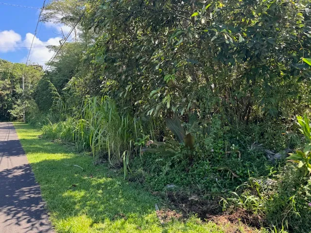 a view of yard with green space
