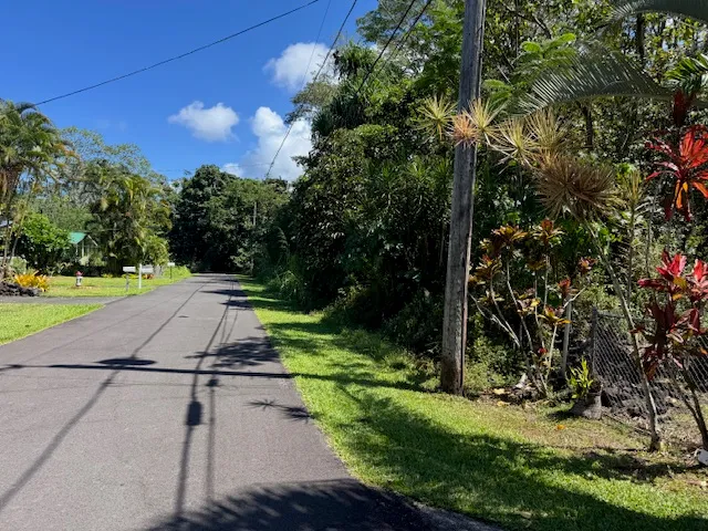 a view of yard with tree