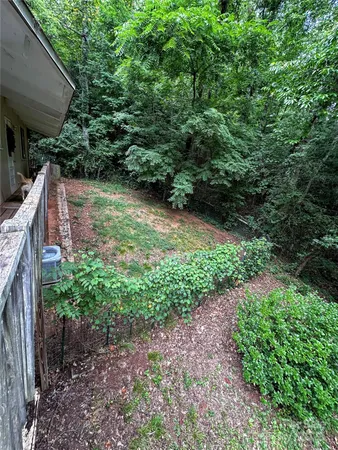 a view of a backyard with plants and a patio