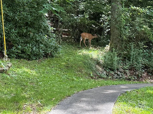 a view of outdoor space and yard