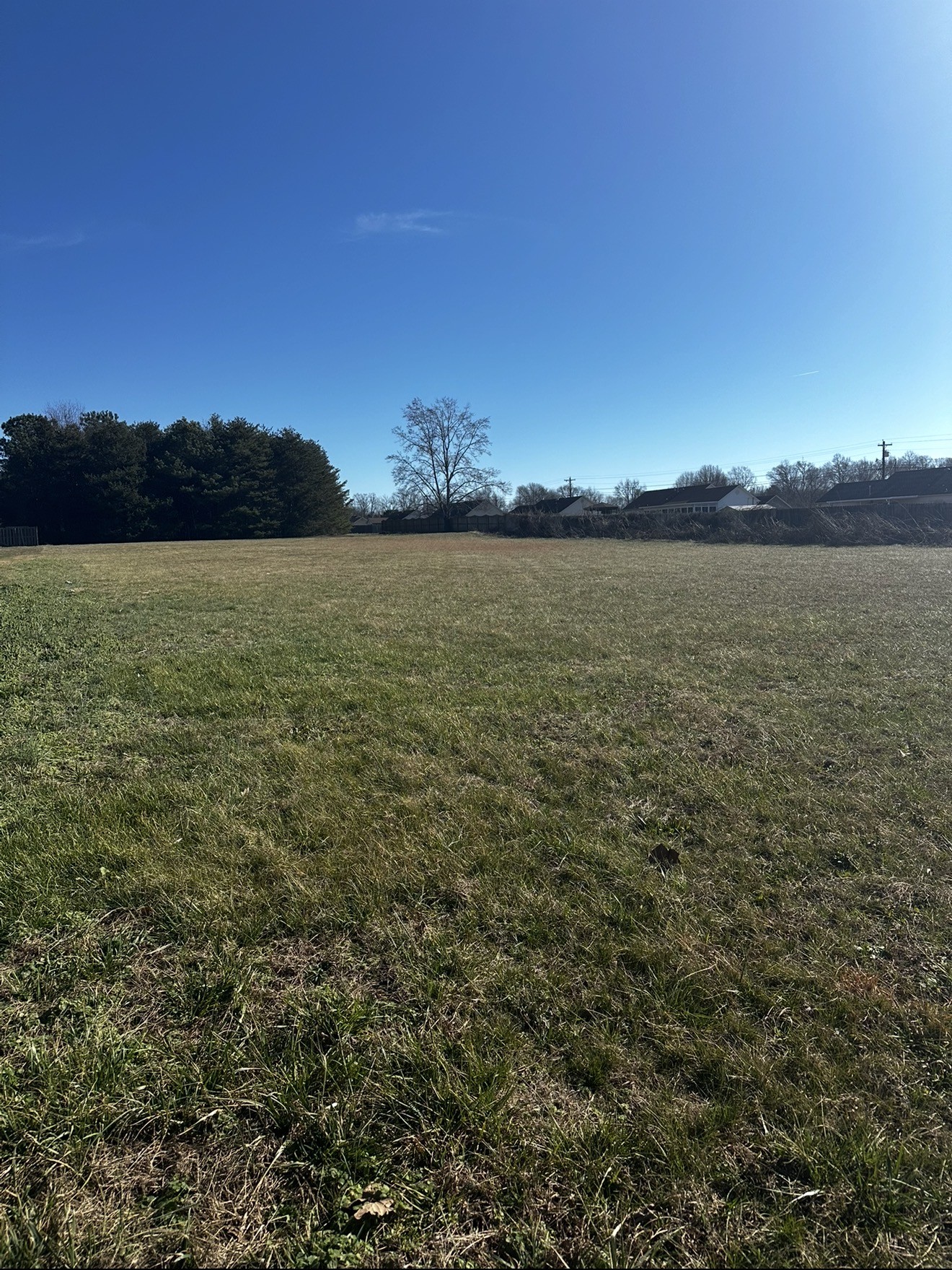 3138 Christmasville Road Jackson, TN 38305 - Photo 1 of 3