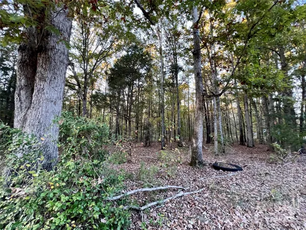 $220,000 | 0 Charlotte Highway, Lancaster, SC 29720