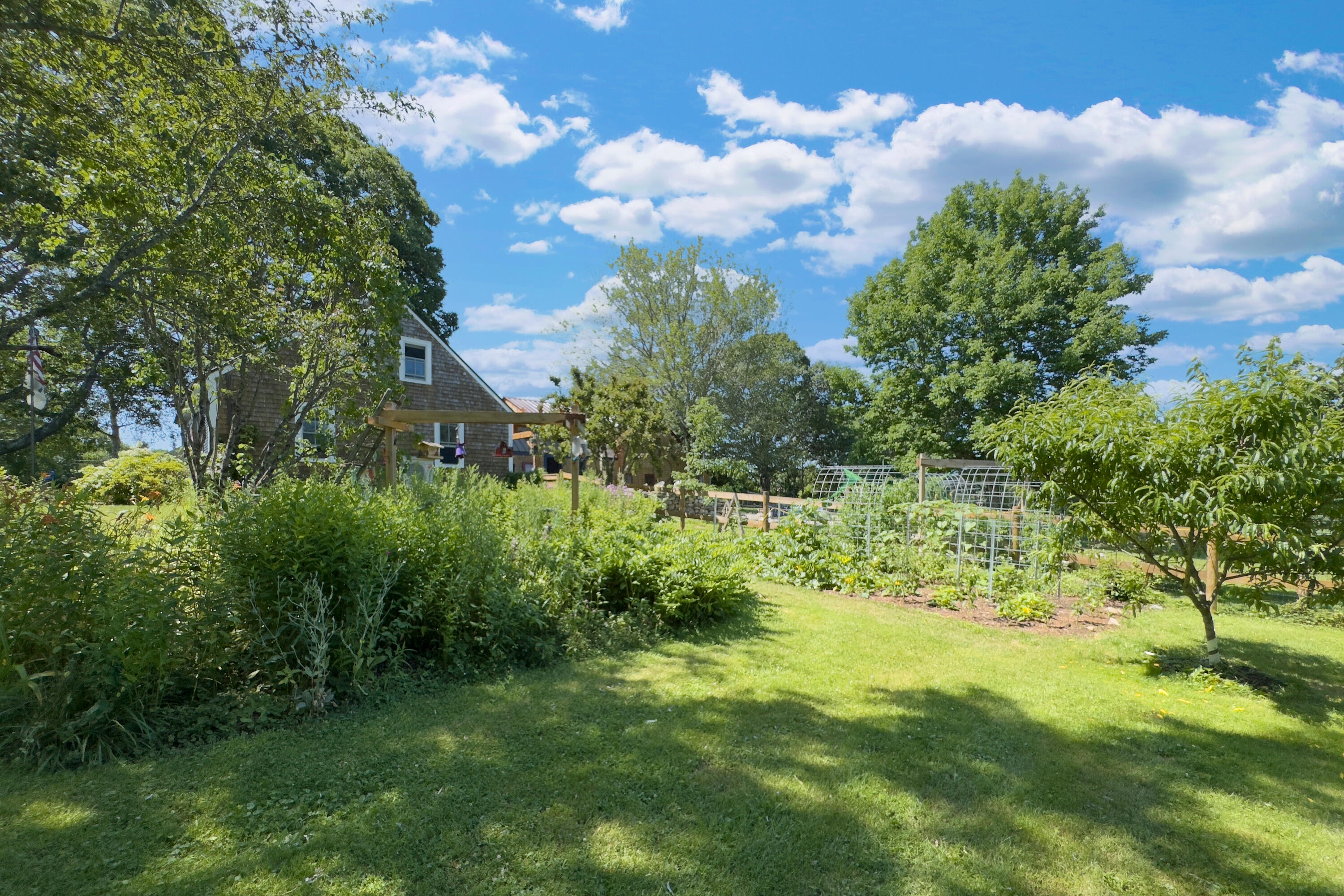 935 Dutch Neck Road Waldoboro, ME 04572 - Photo 49 of 78 Side Yard