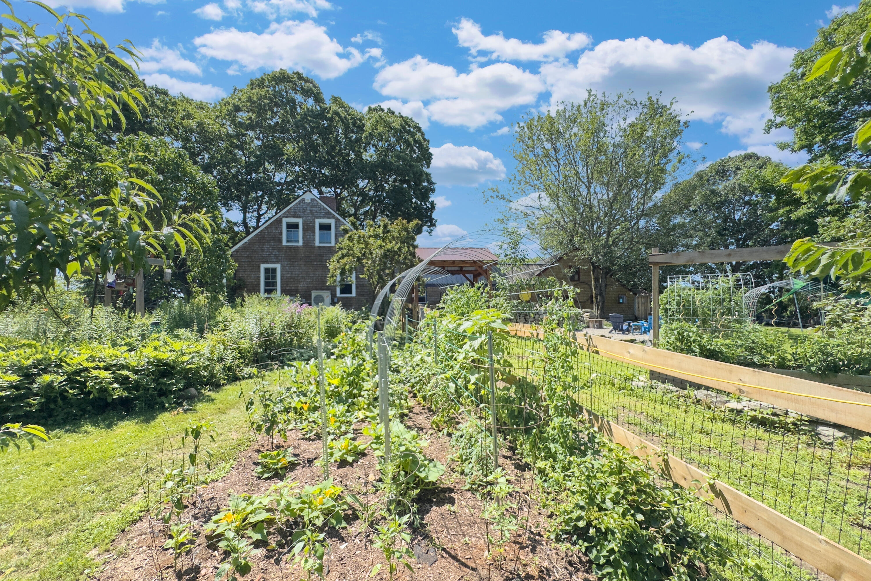 935 Dutch Neck Road Waldoboro, ME 04572 - Photo 50 of 78 side yard