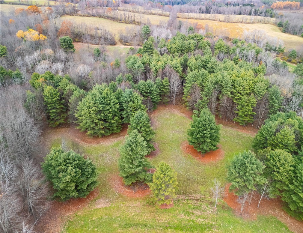 3444 County Route 2 Addison, NY 14801 - Photo 18 of 25