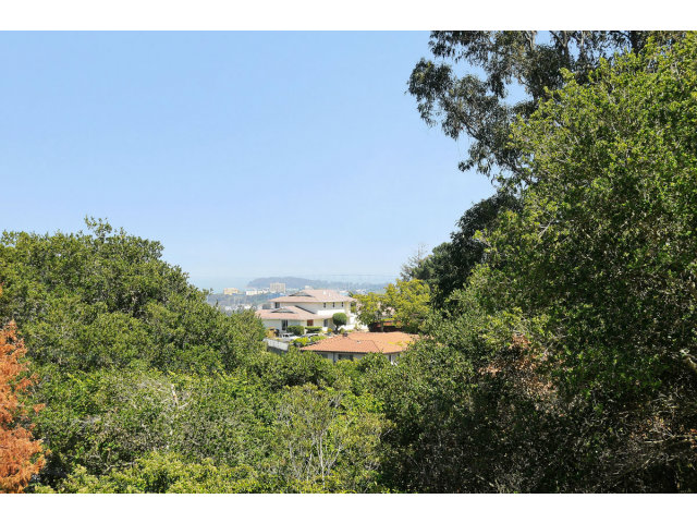 6 Spring Valley Lane Millbrae, CA 94030 - Photo 22 of 25 a aerial view of a house with a yard