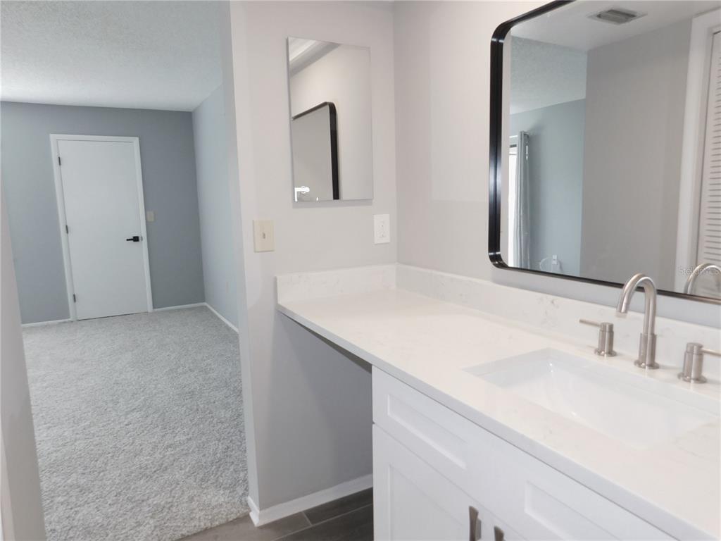 218 Caryl Way Oldsmar, FL 34677 - Photo 16 of 29 a bathroom with a sink and a mirror