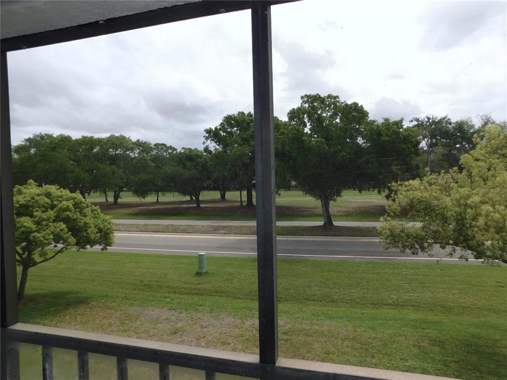 218 Caryl Way Oldsmar, FL 34677 - Photo 25 of 29 a view of a park with large trees